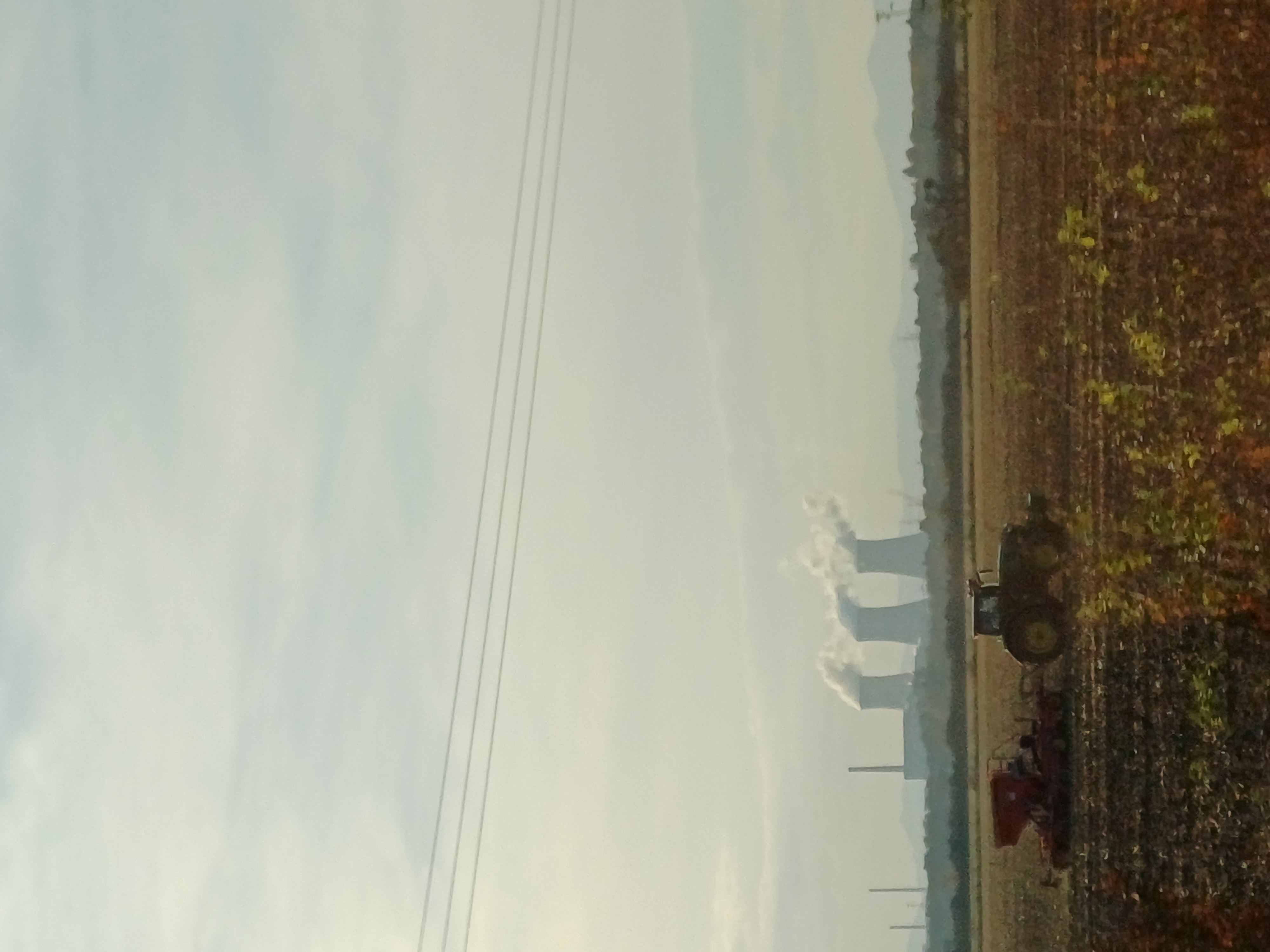 Foto di Davide M - Terzo posto 