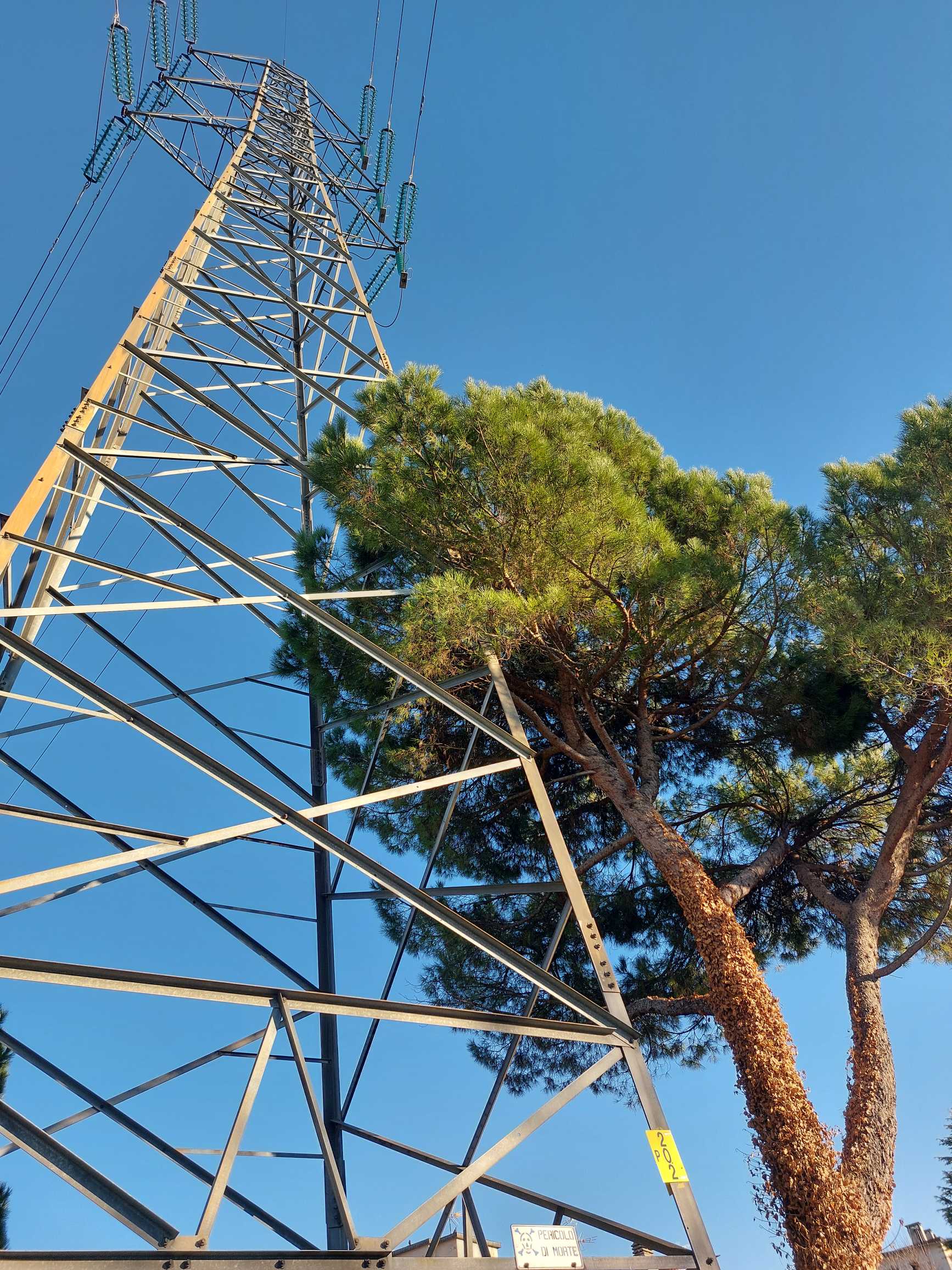 Foto di Eleonora F- Secondo posto 