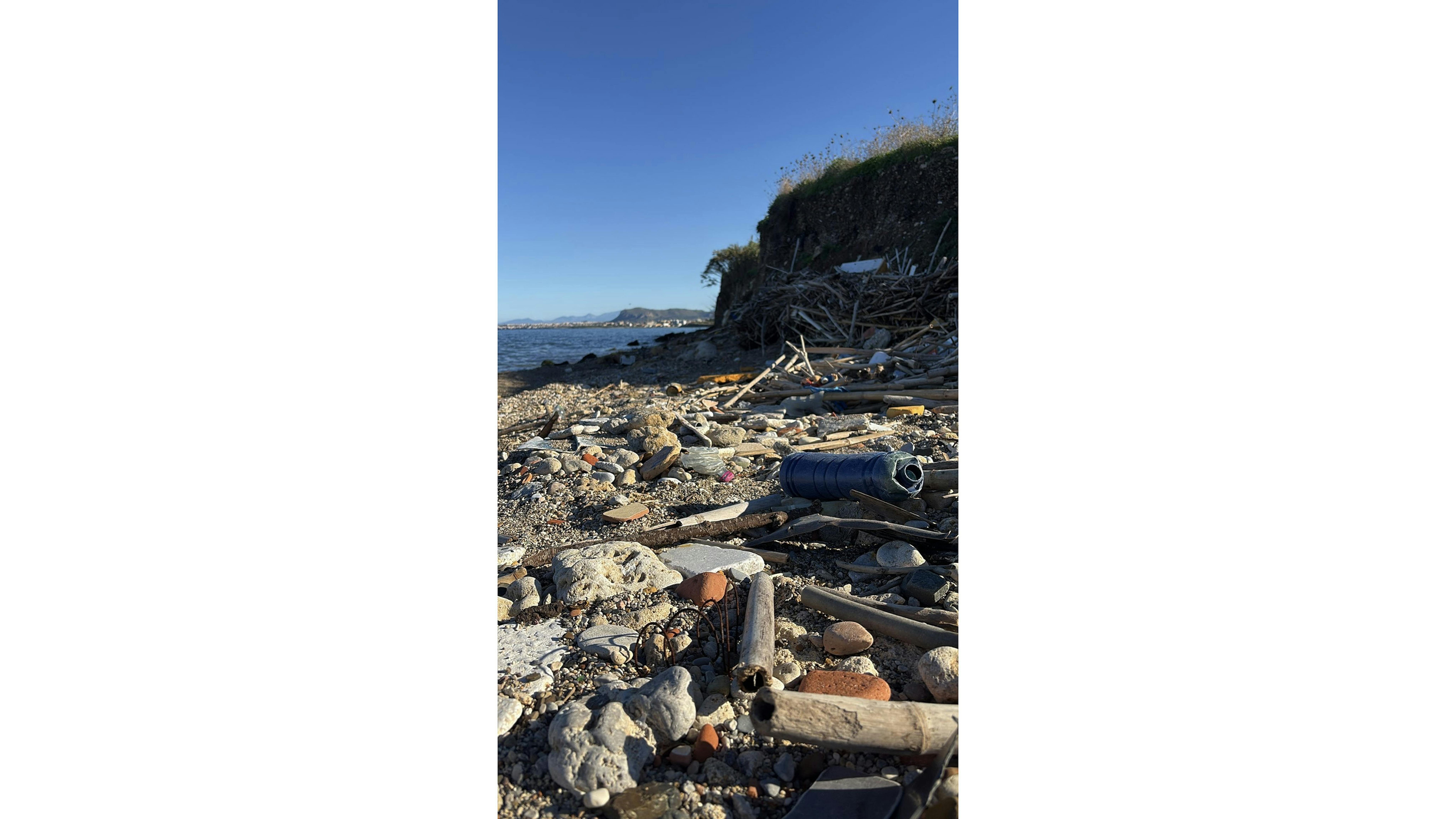 Terzo posto: Alisia I