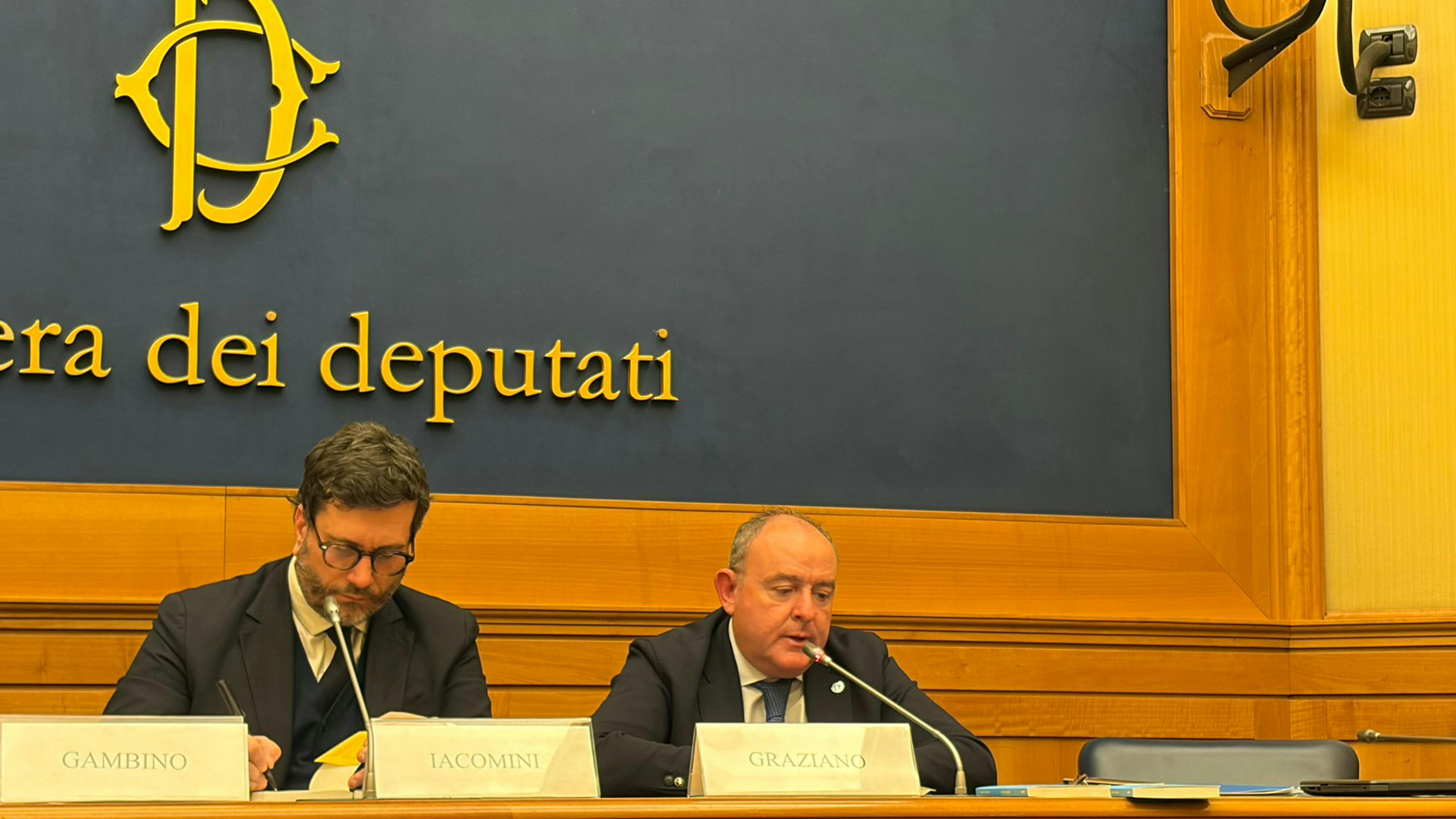 L'intervento del Presidente dell'UNICEF Italia Nicola Graziano