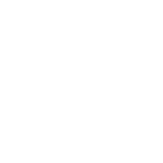 icona megafono bianca unicef