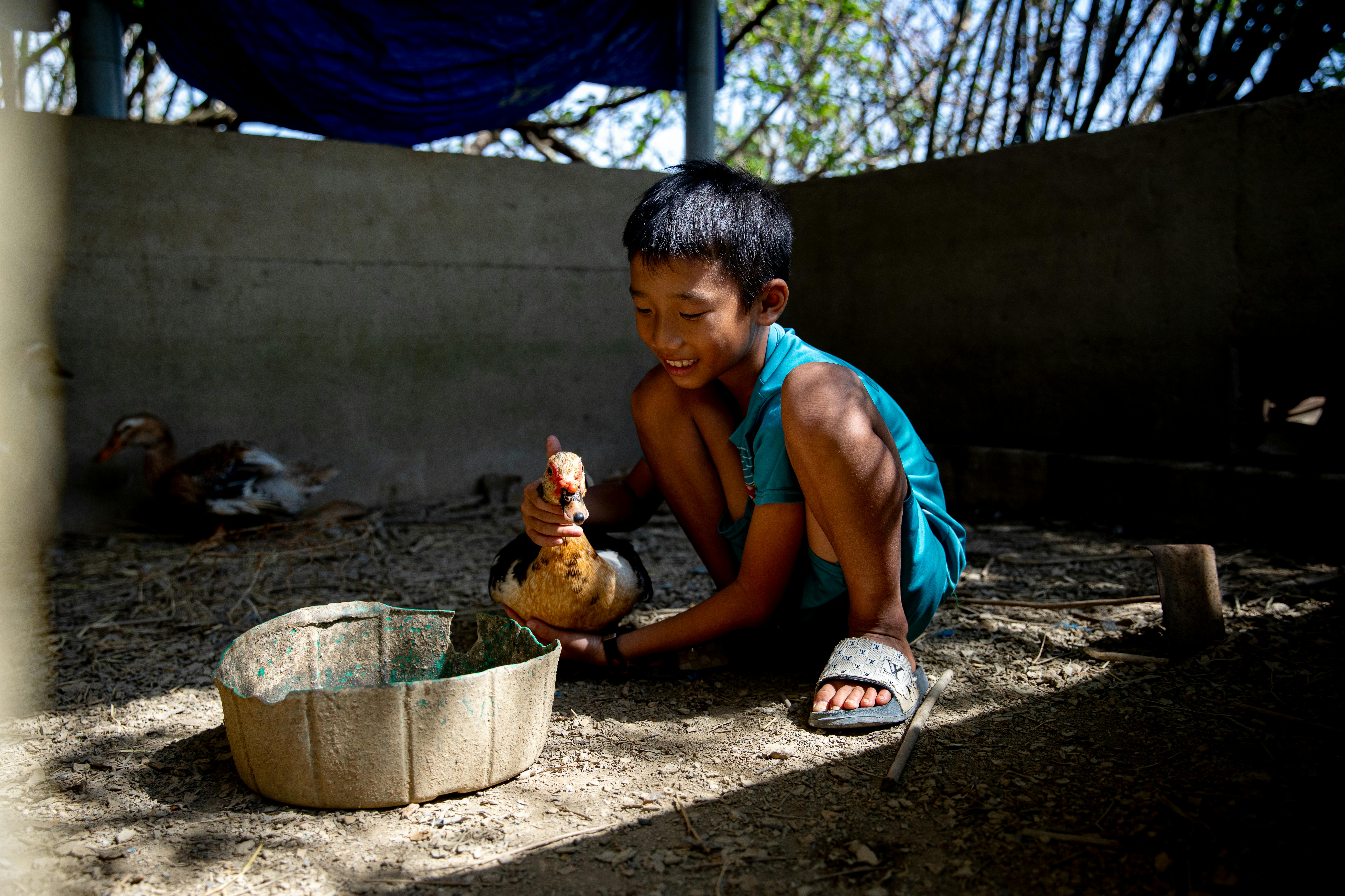 Toàn, 10 anni, gioca con la sua anatra domestica, Chít, nel cortile della sua casa.