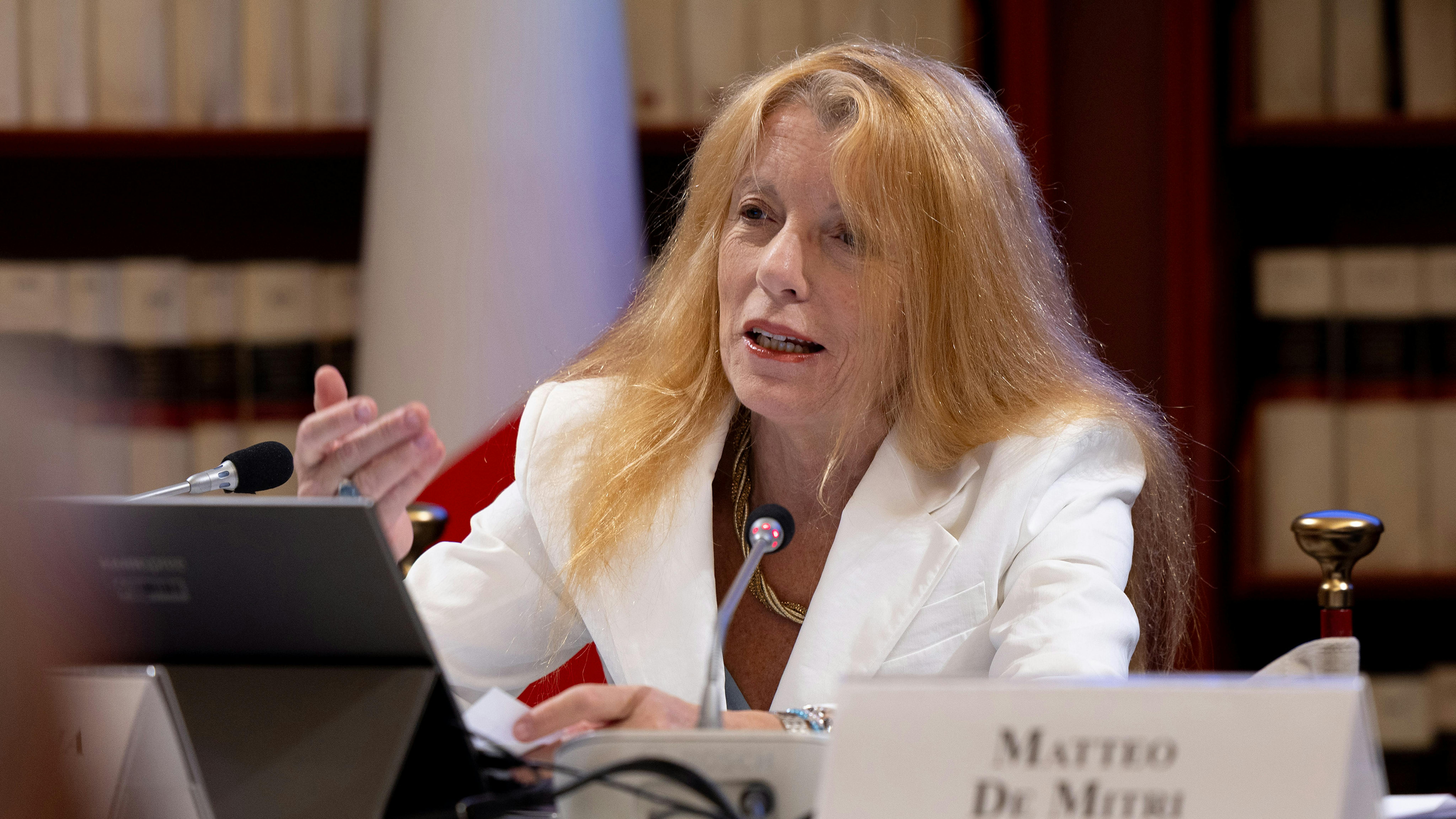 L'On. Michela Vittoria Brambilla - Presidente della Commissione