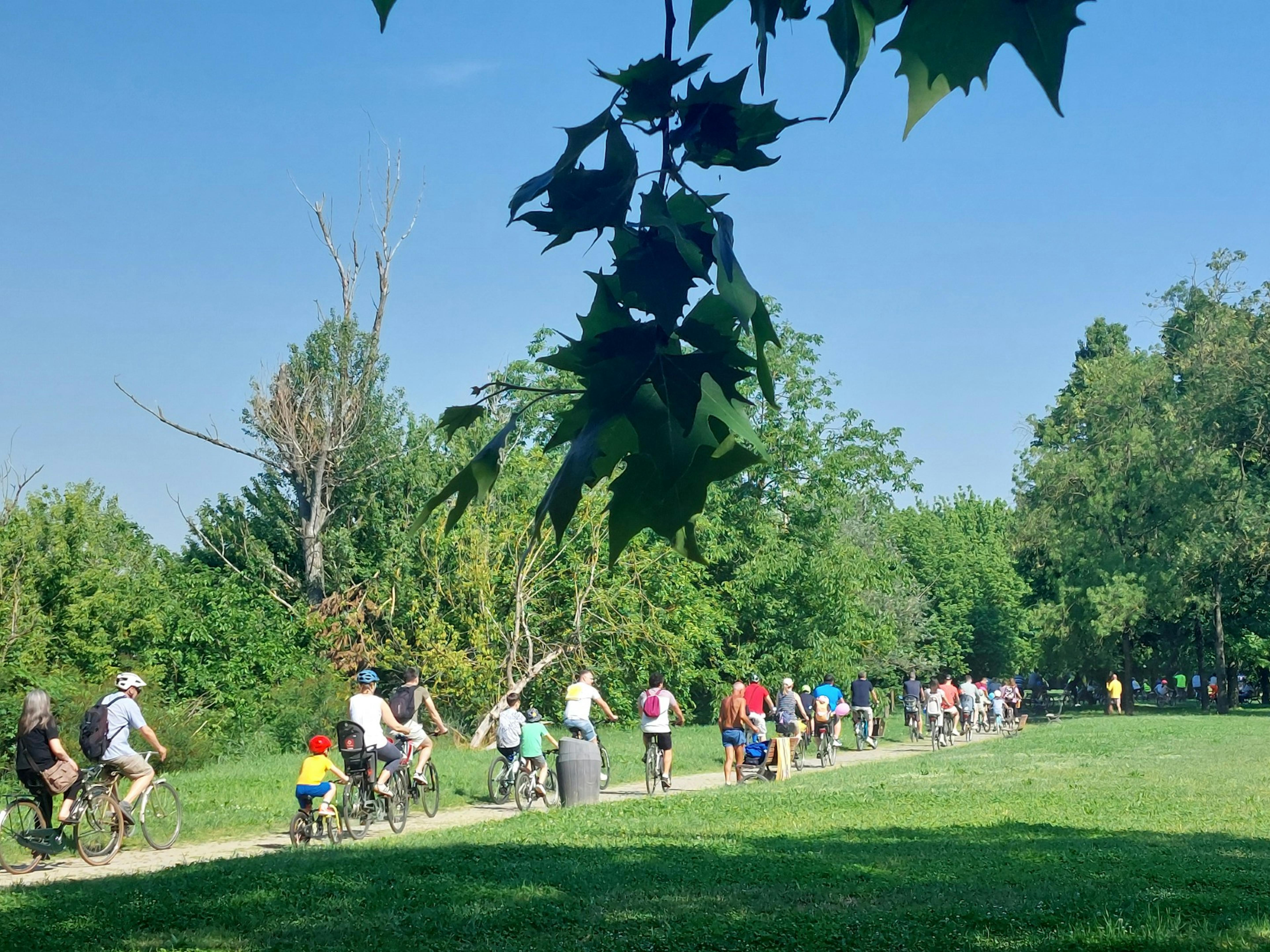 Bambini in bici a Cremona nell'iniziativa organizzata da UNICEF e Fiab per la Campagna del Gioco 2026