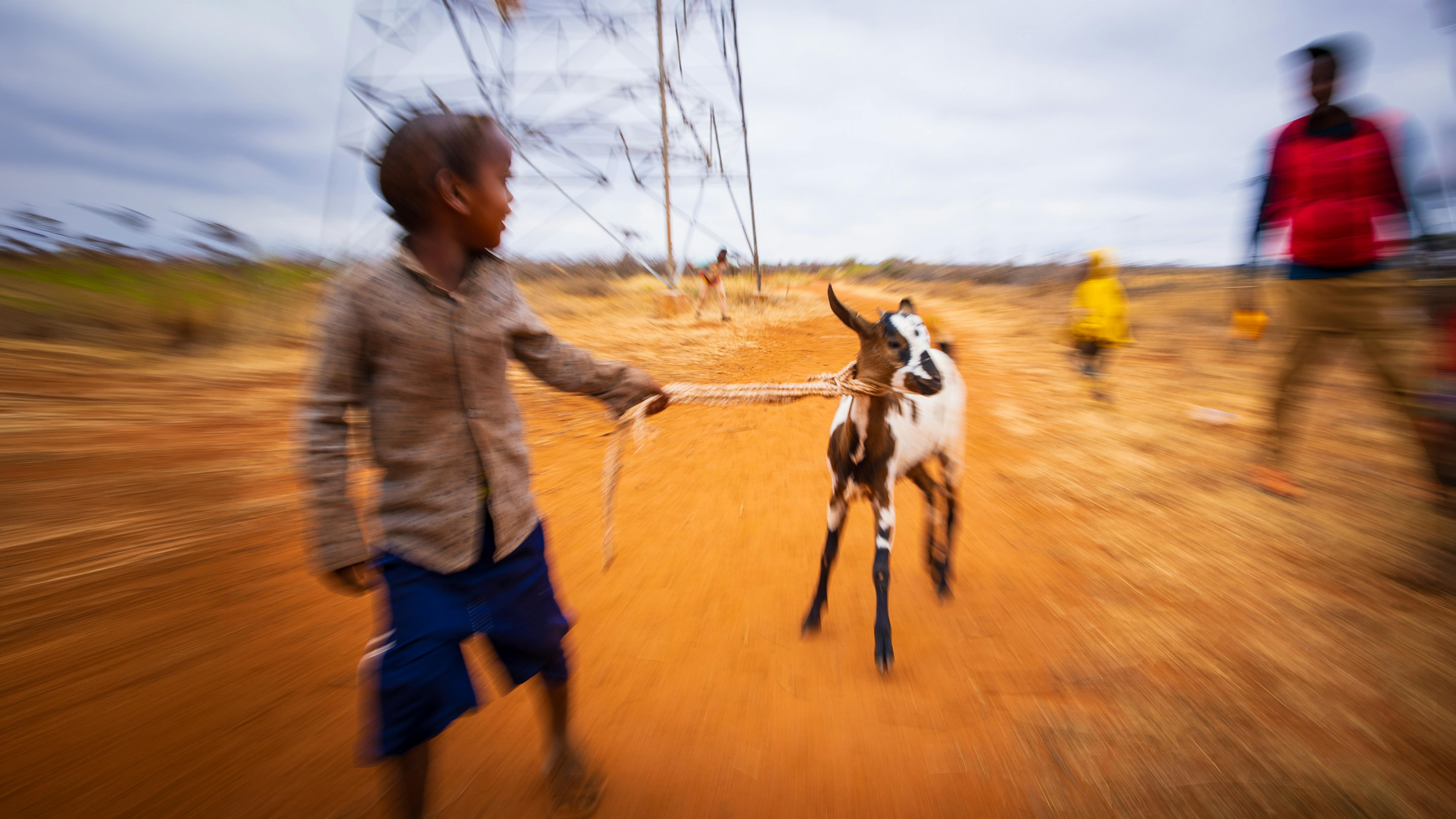 Derara, 7 anni, porta al pascolo la sua capra, acquistata dalla famiglia grazie all’assistenza in denaro sostenuta dall’UNICEF.
