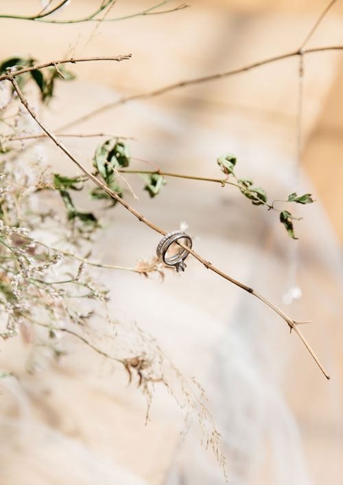 Wedding Rings on a Branch