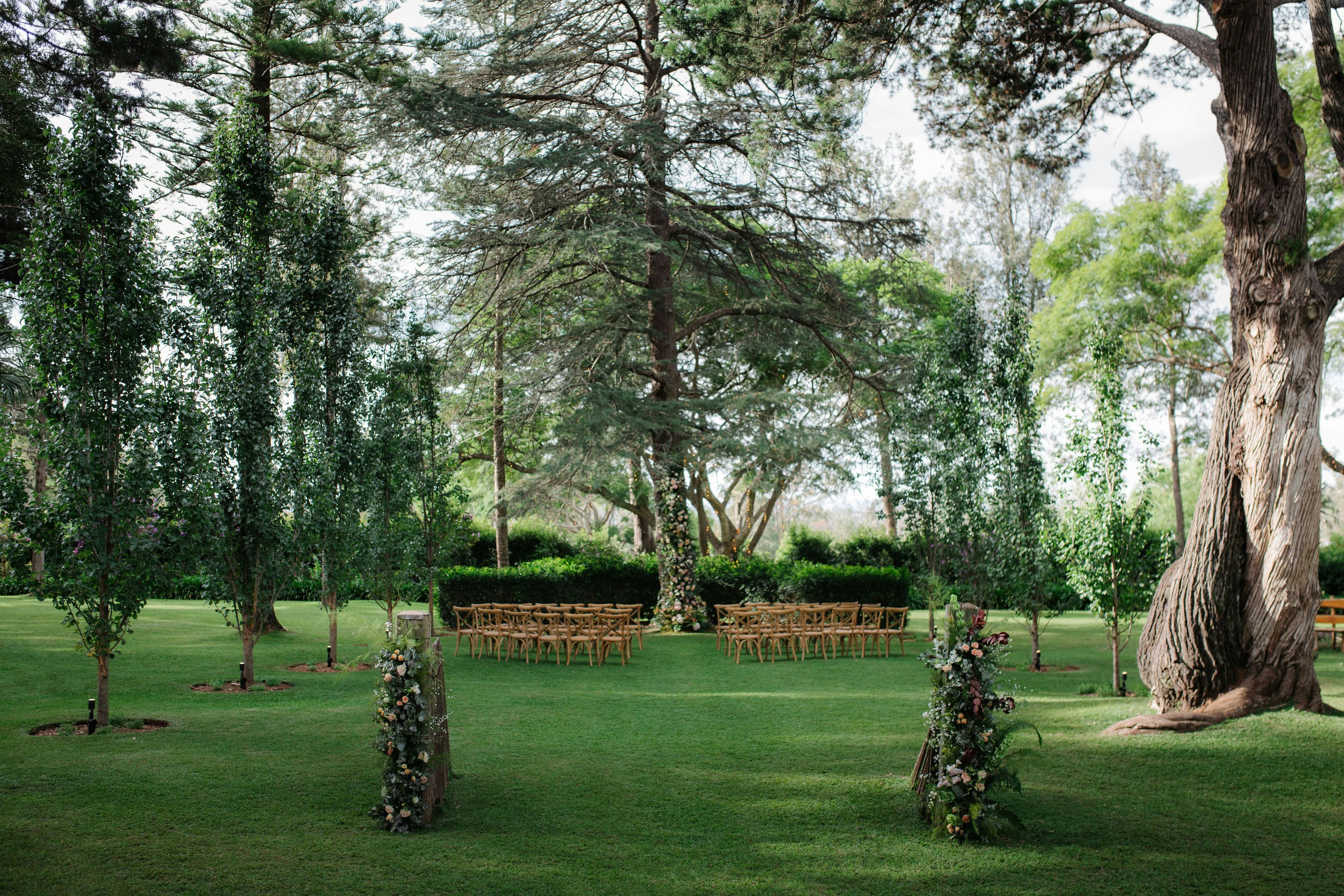 Large tree with chairs set in front of it on green grass for a wedding reception 