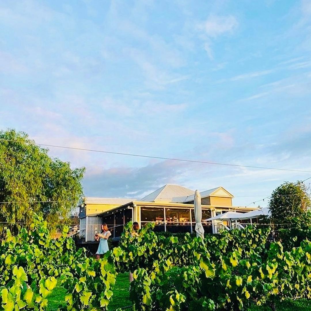 Photo of Rosalie House and vineyards 