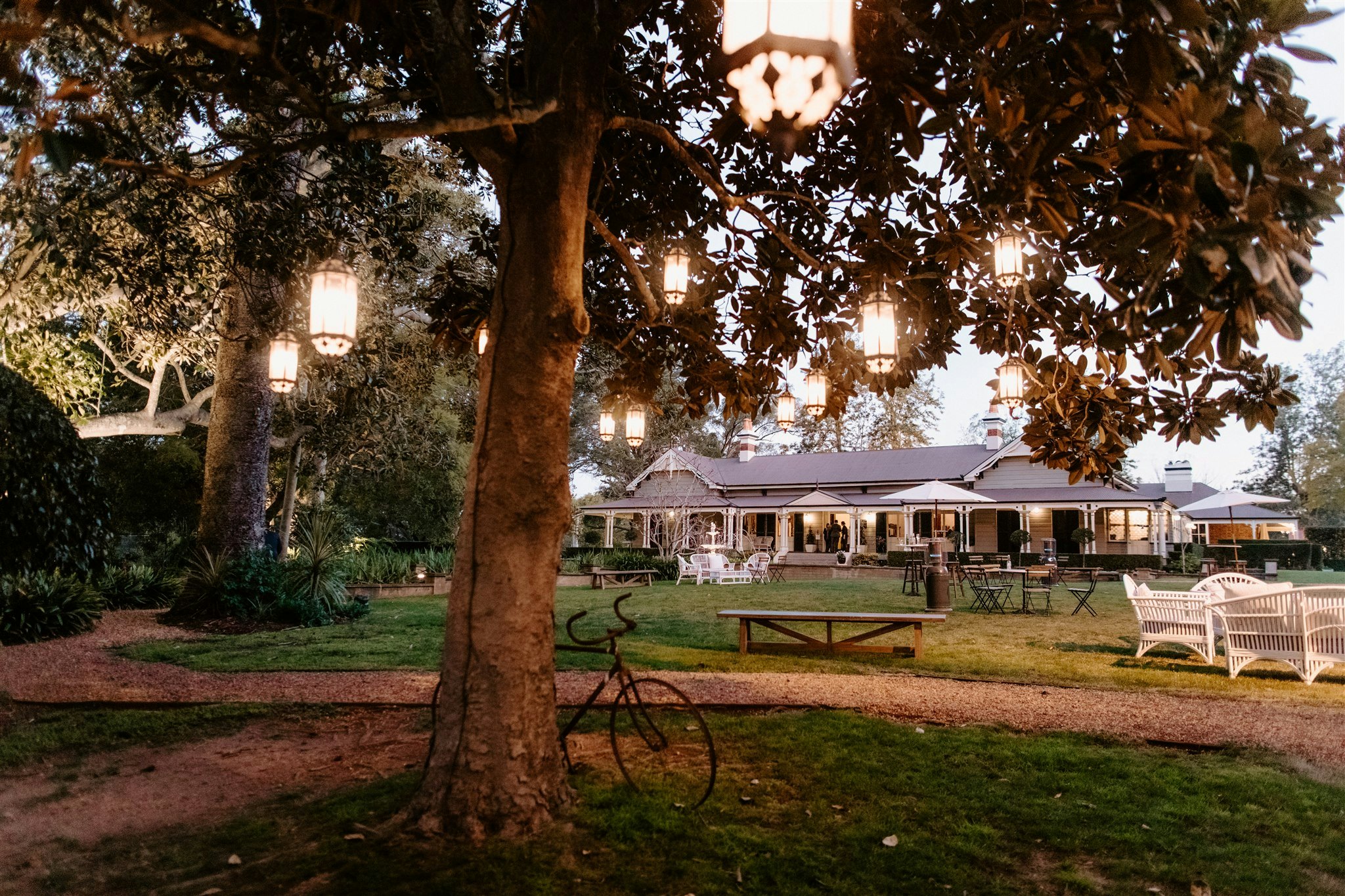 Gabbinbar Homestead garden party with lanterns hanging in the Magnolia tree 