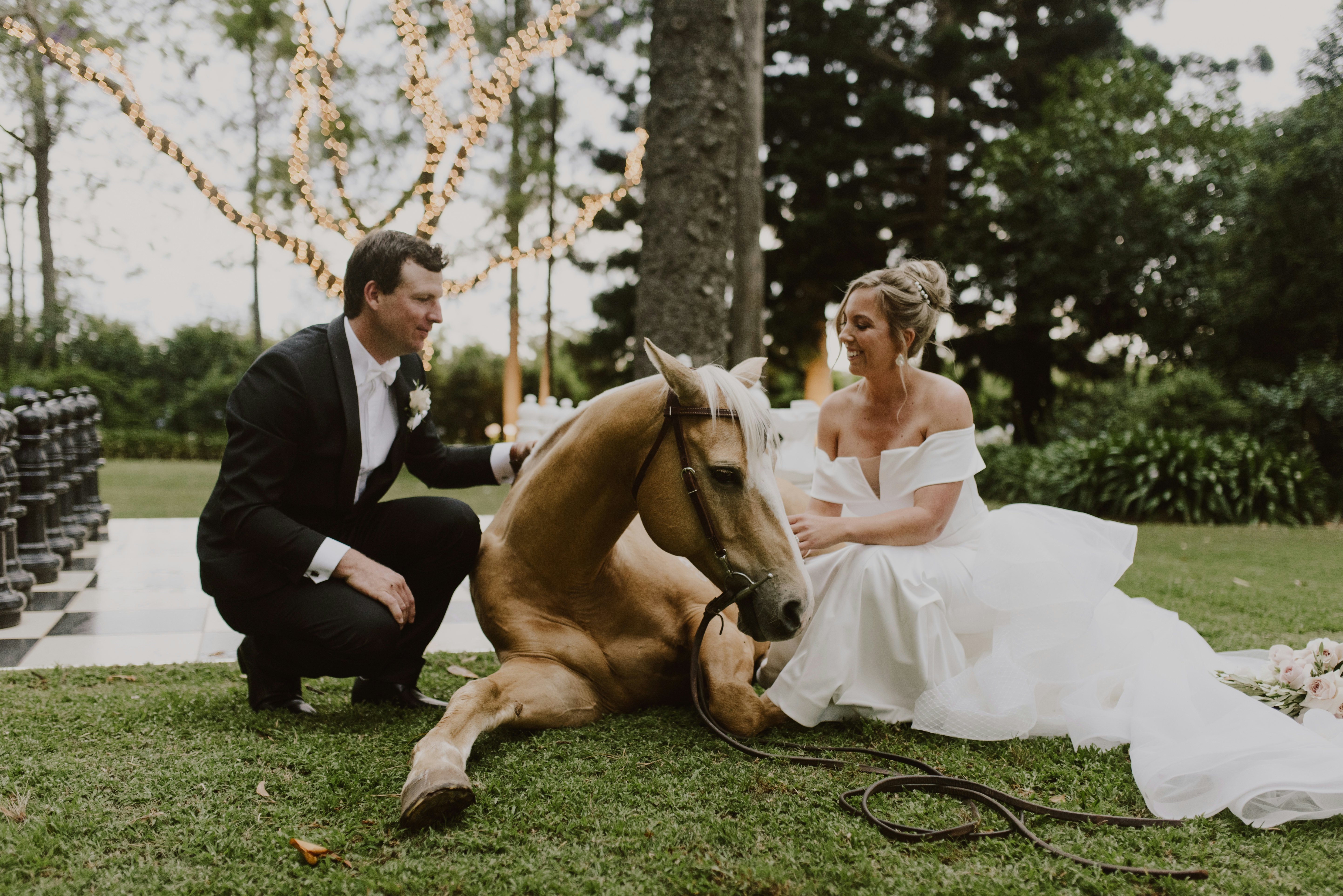 Bride and groom sitting down petting horse
