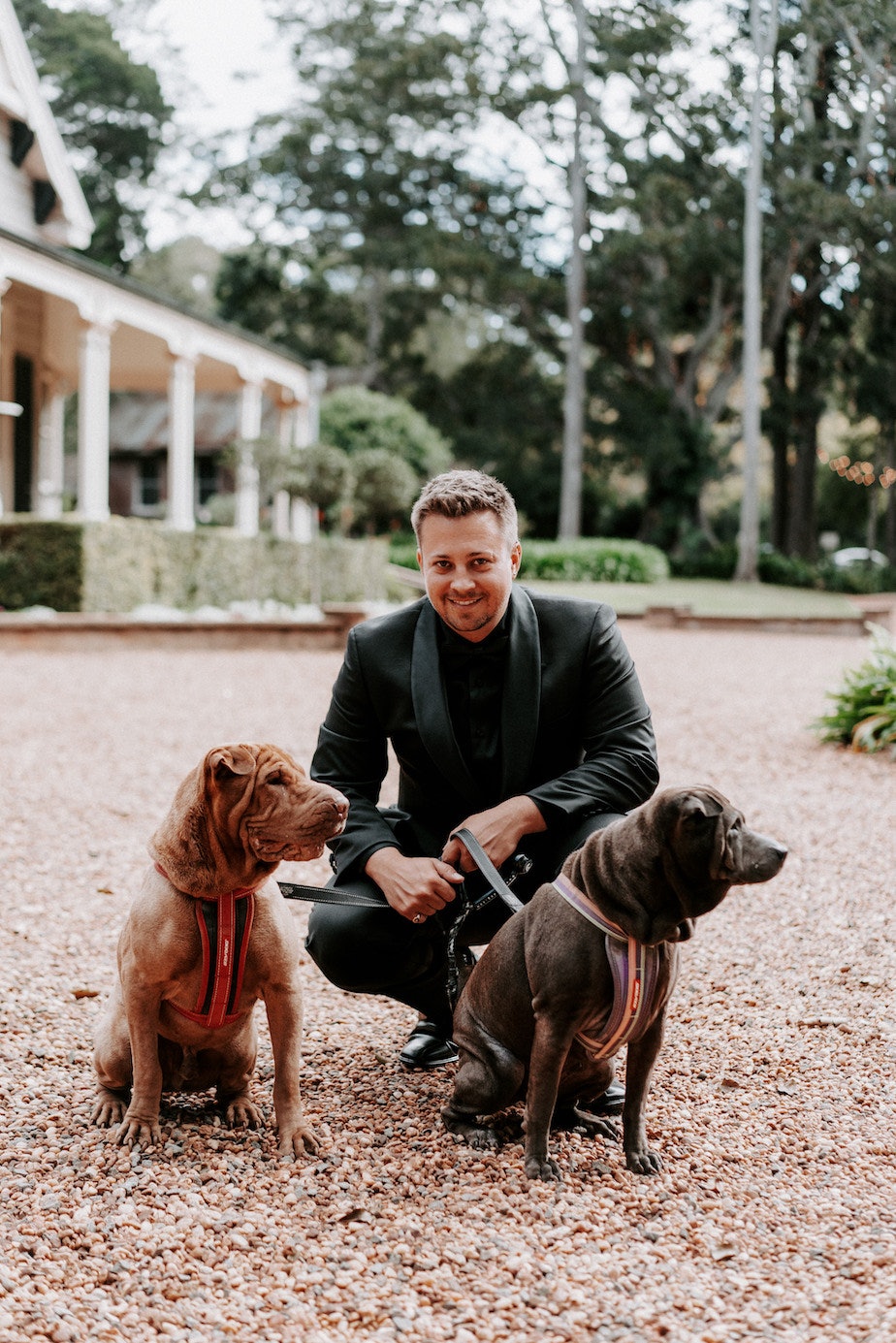 Groom with dogs 