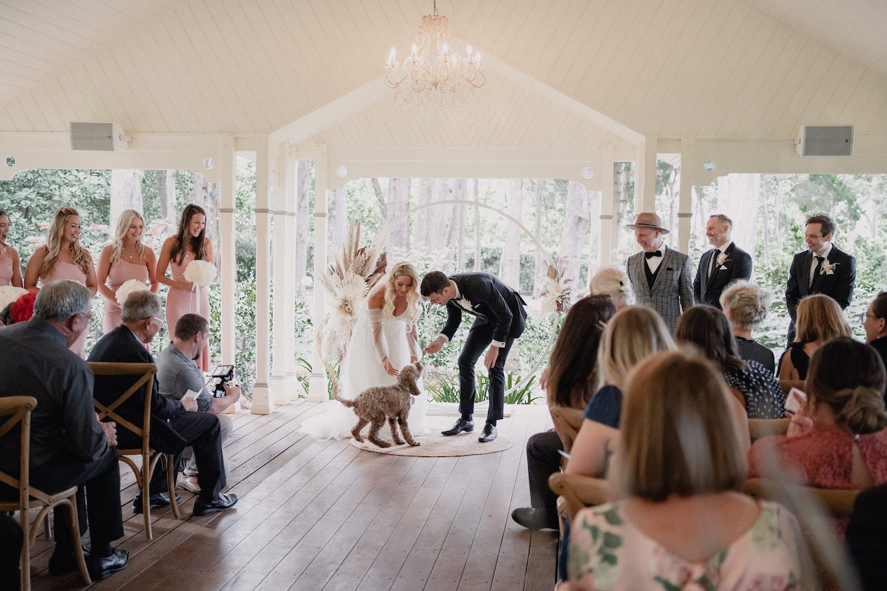 Bride and groom petting dog 