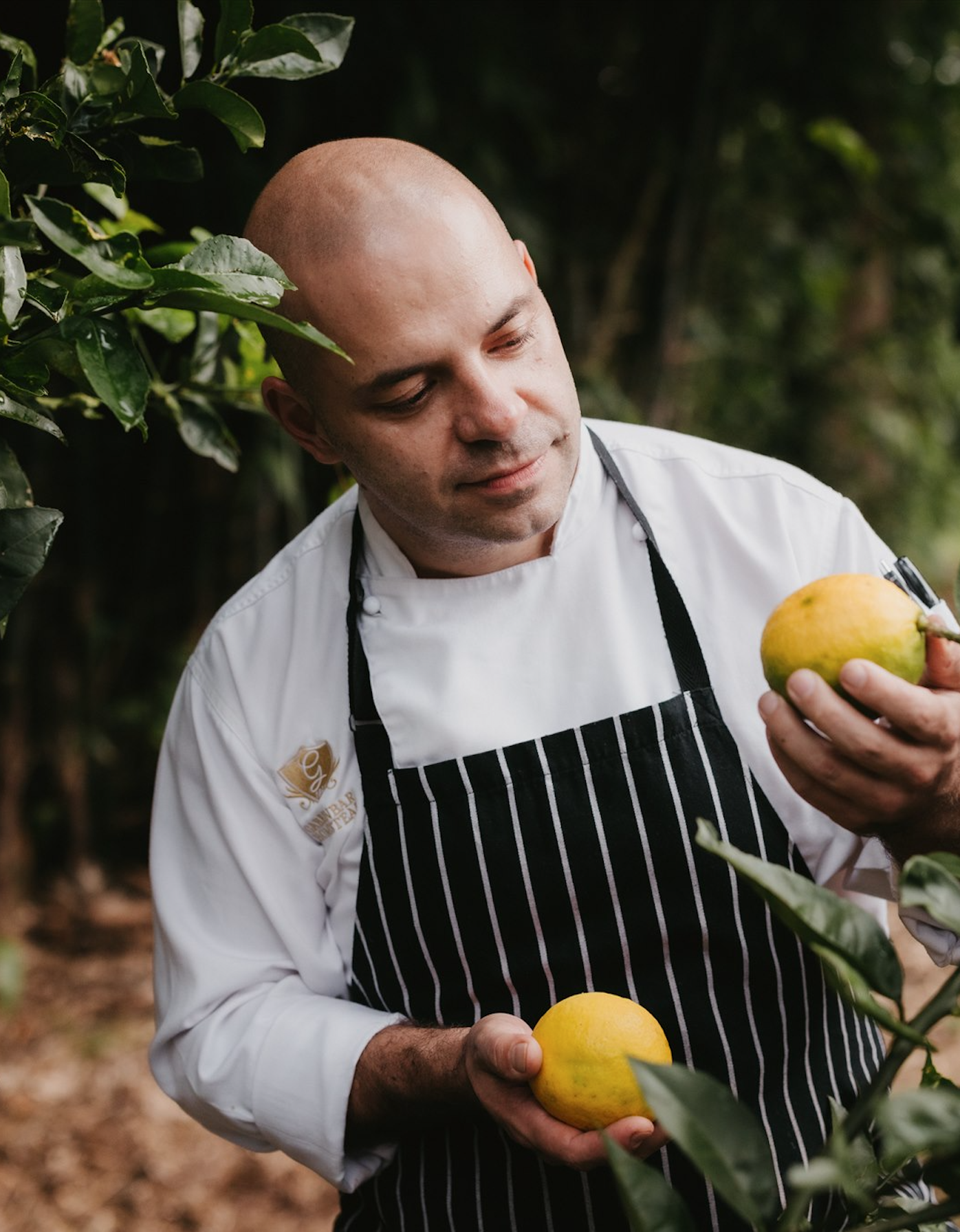 Head chef looks at lemon