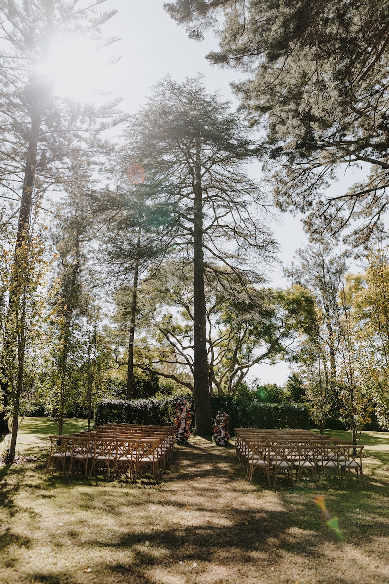 Wedding ceremony beneath large tree 