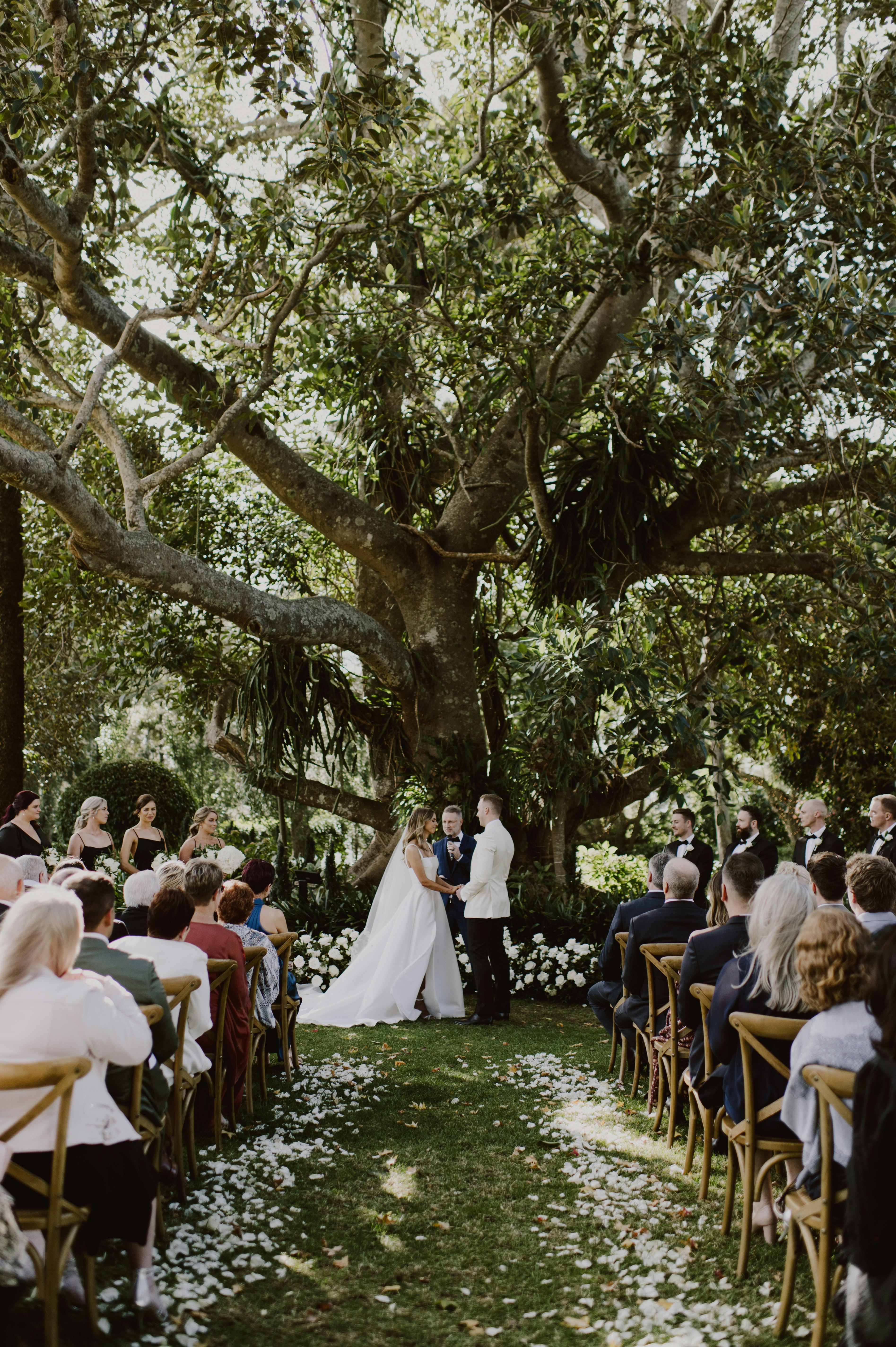 Couple marry under big tree in queensland