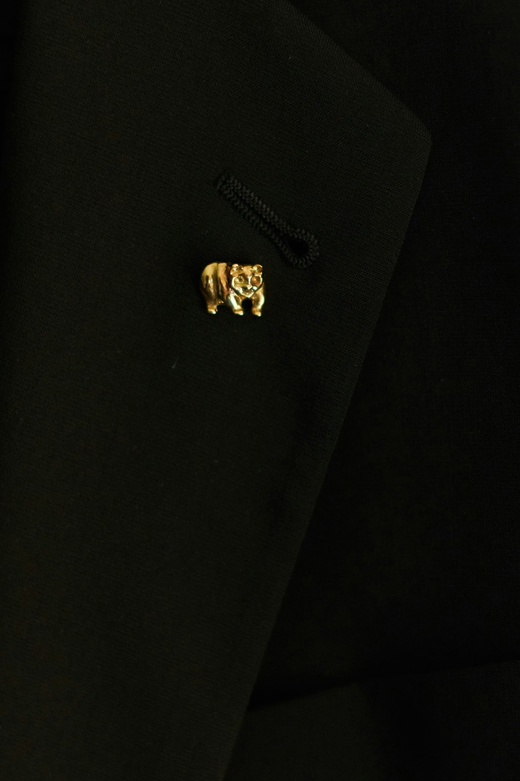 Gold bear pin