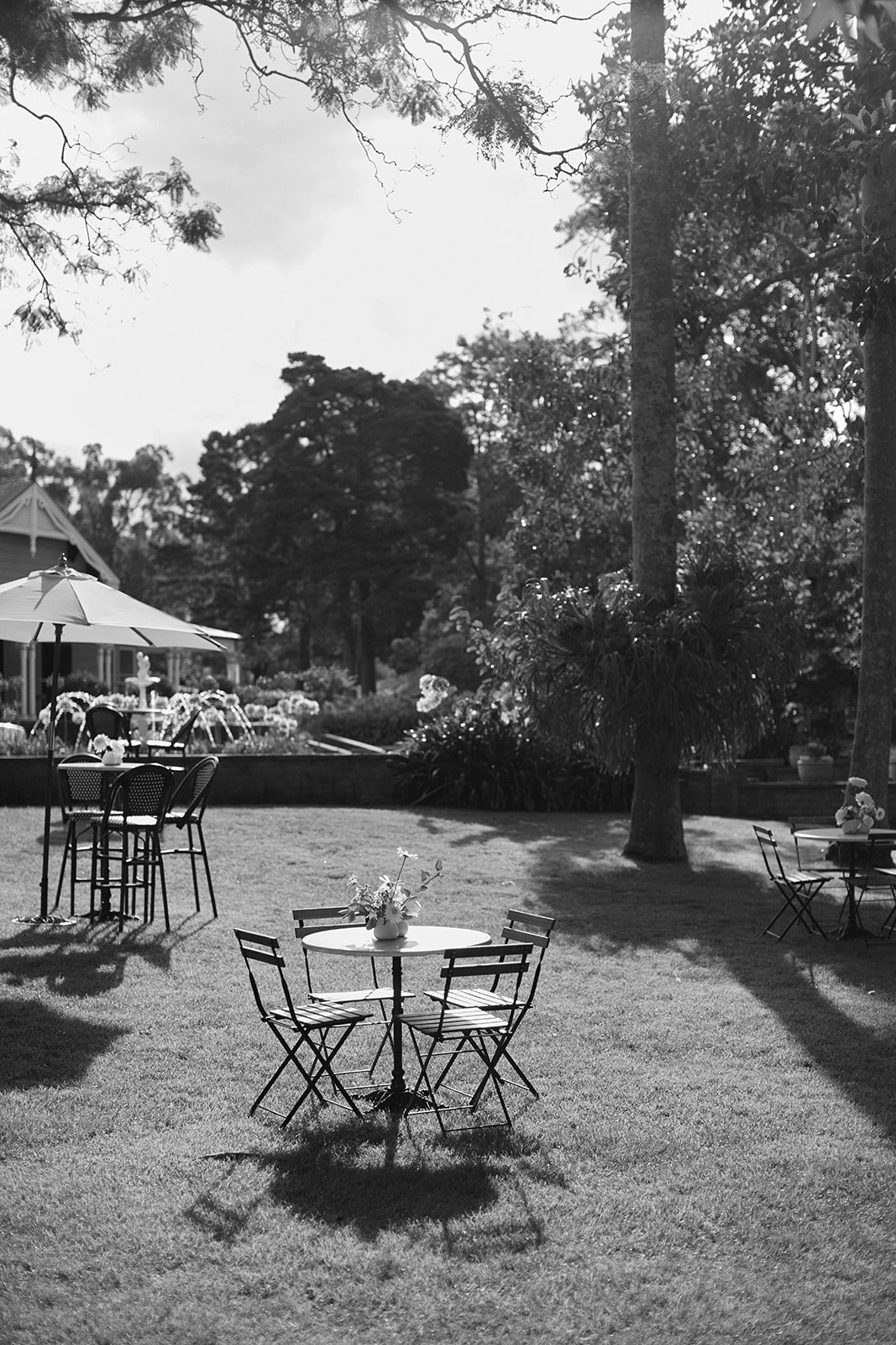 Outdoor garden party with chairs and umbrellas