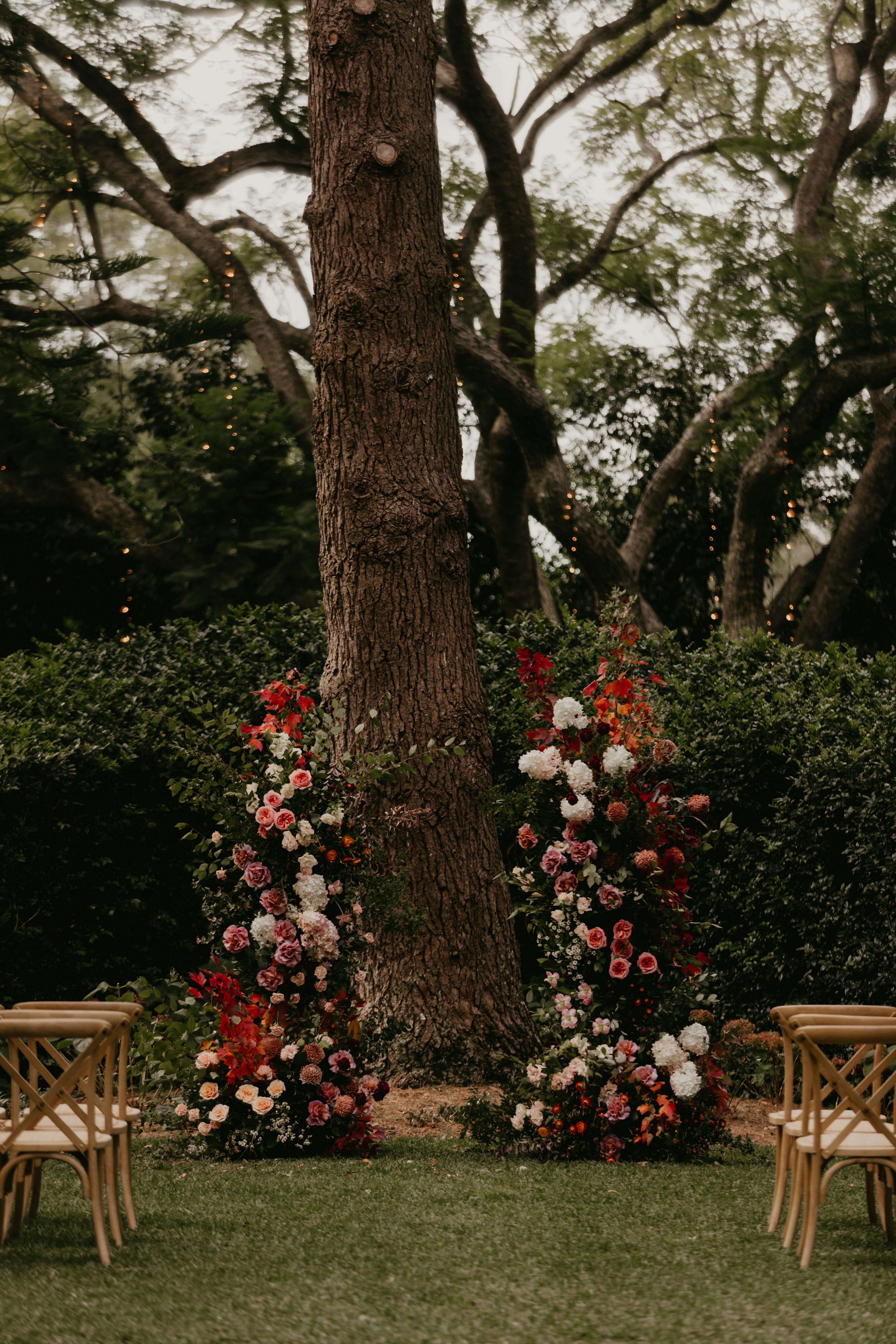 Floral arbour with red flowers