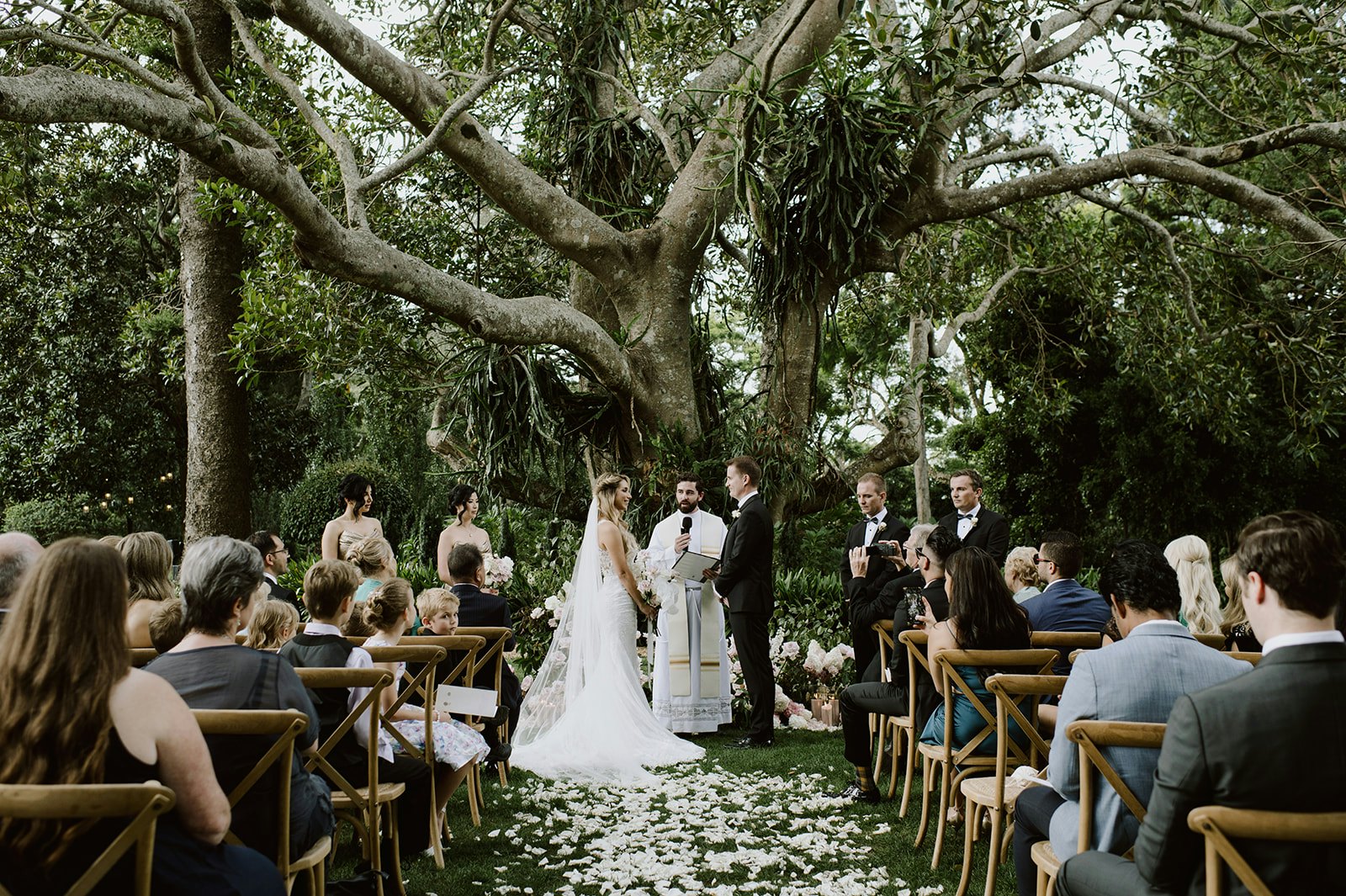 Bride and groom getting married under fig tree