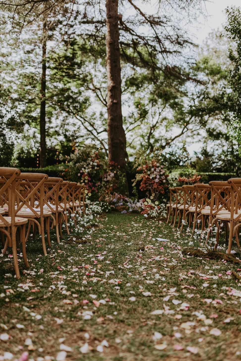 Wedding ceremony aisle with rose petals