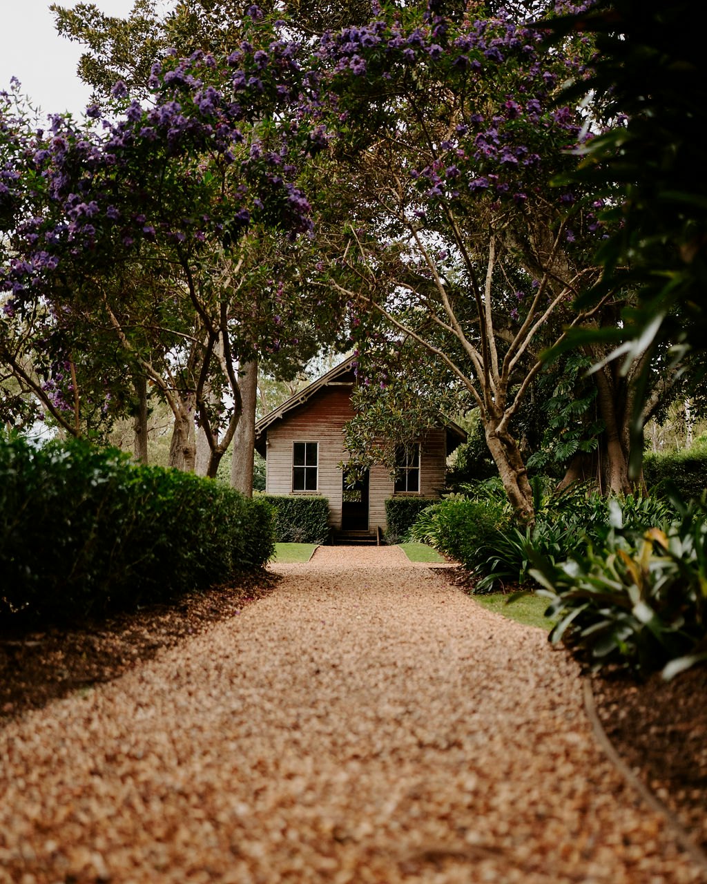 Old School House with purple flowering trees