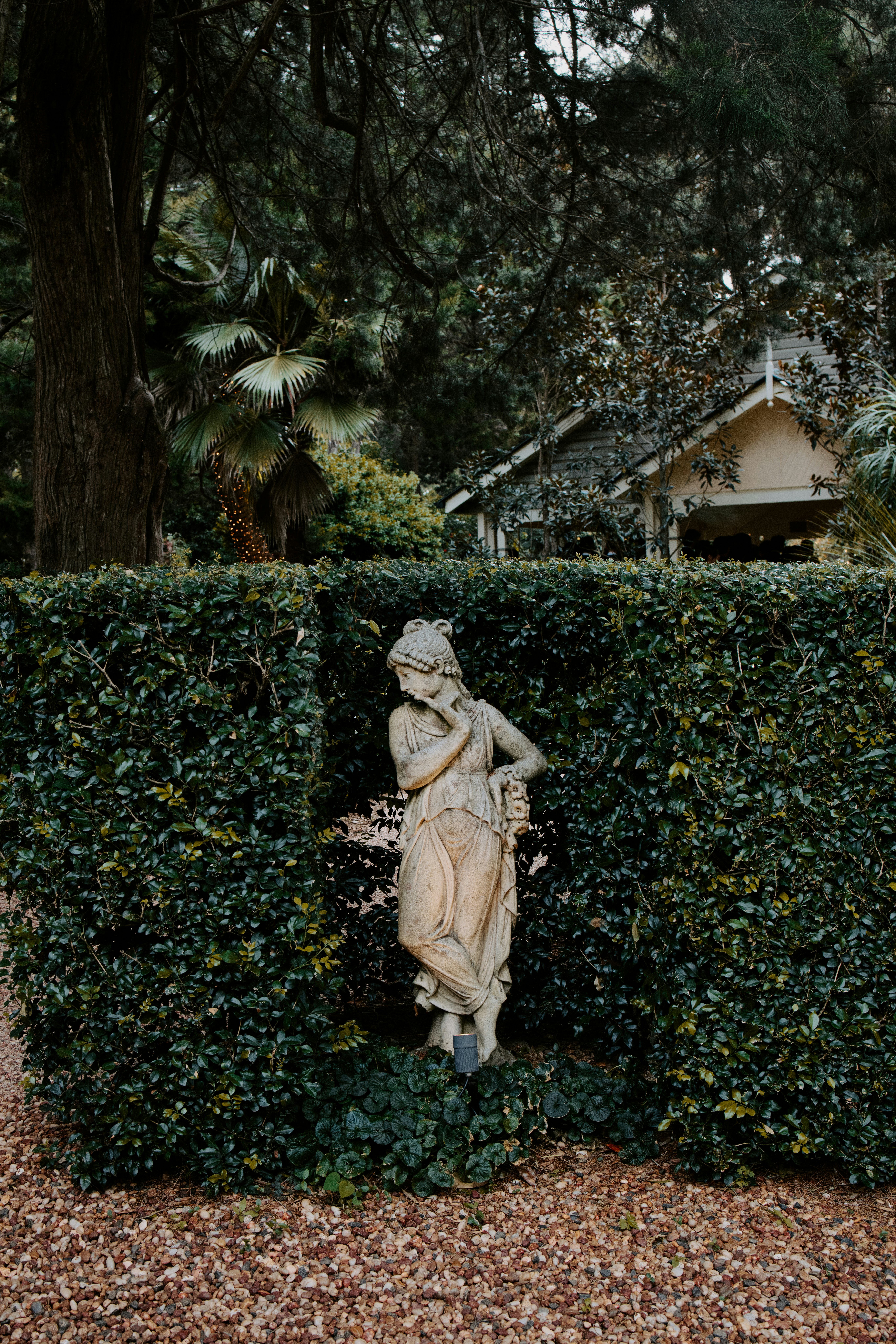 Garden statue in front of hedge