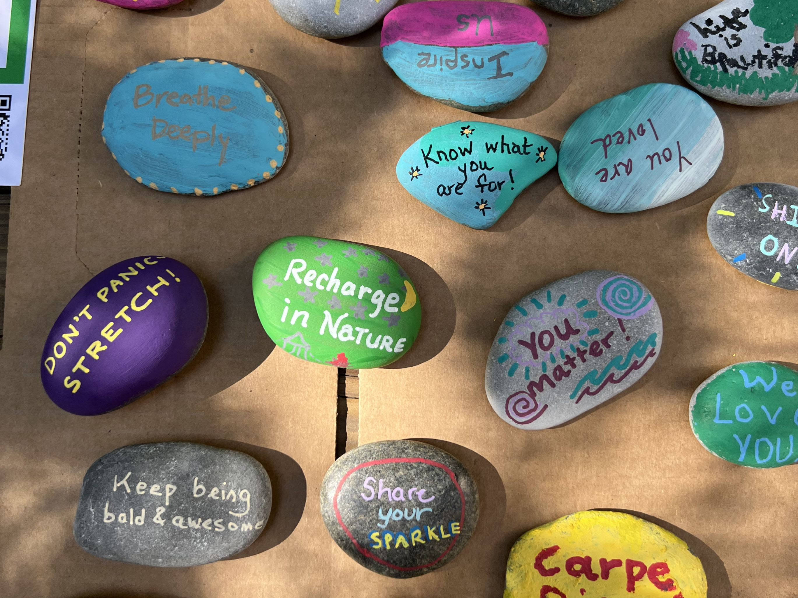 The Kindness Rock Project