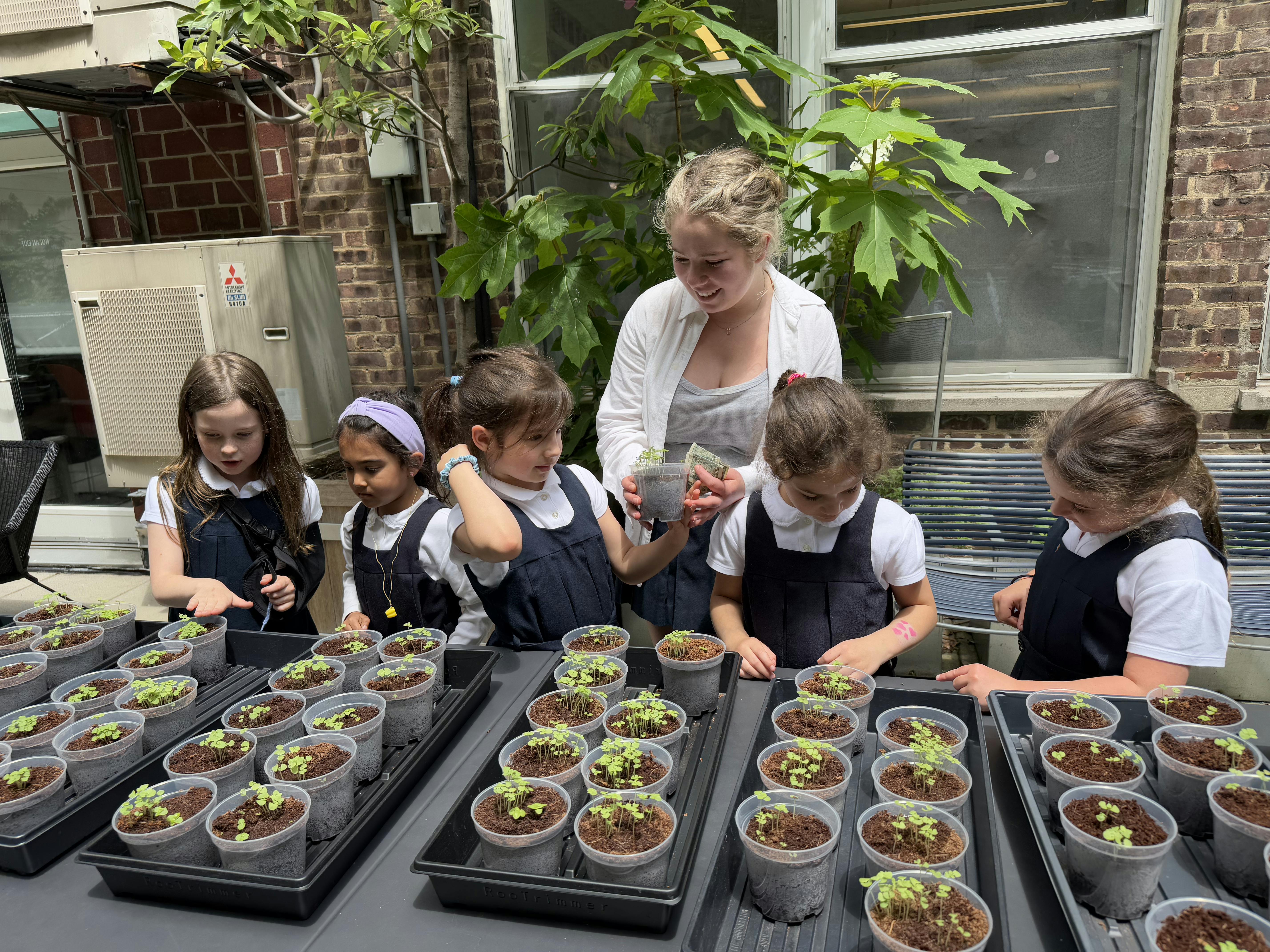Kindergarten's Plant Sale