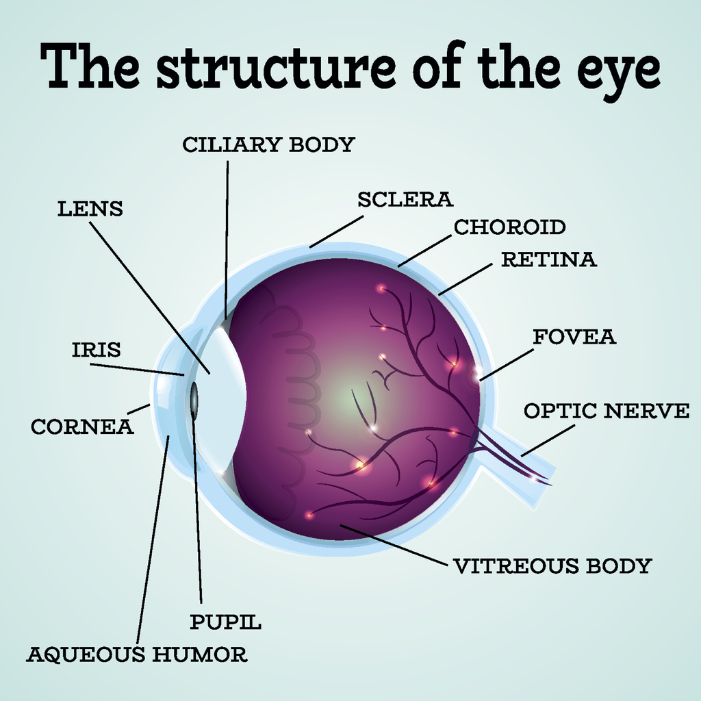 eye diagram