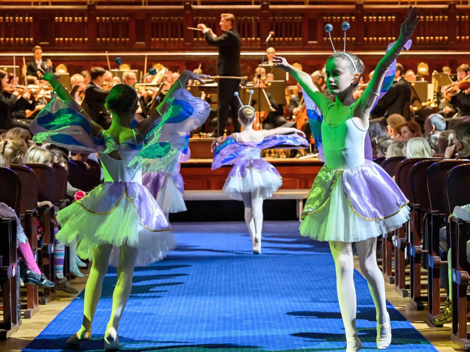 Orchestr na dotek IV – Hudba do lesa i zahrady