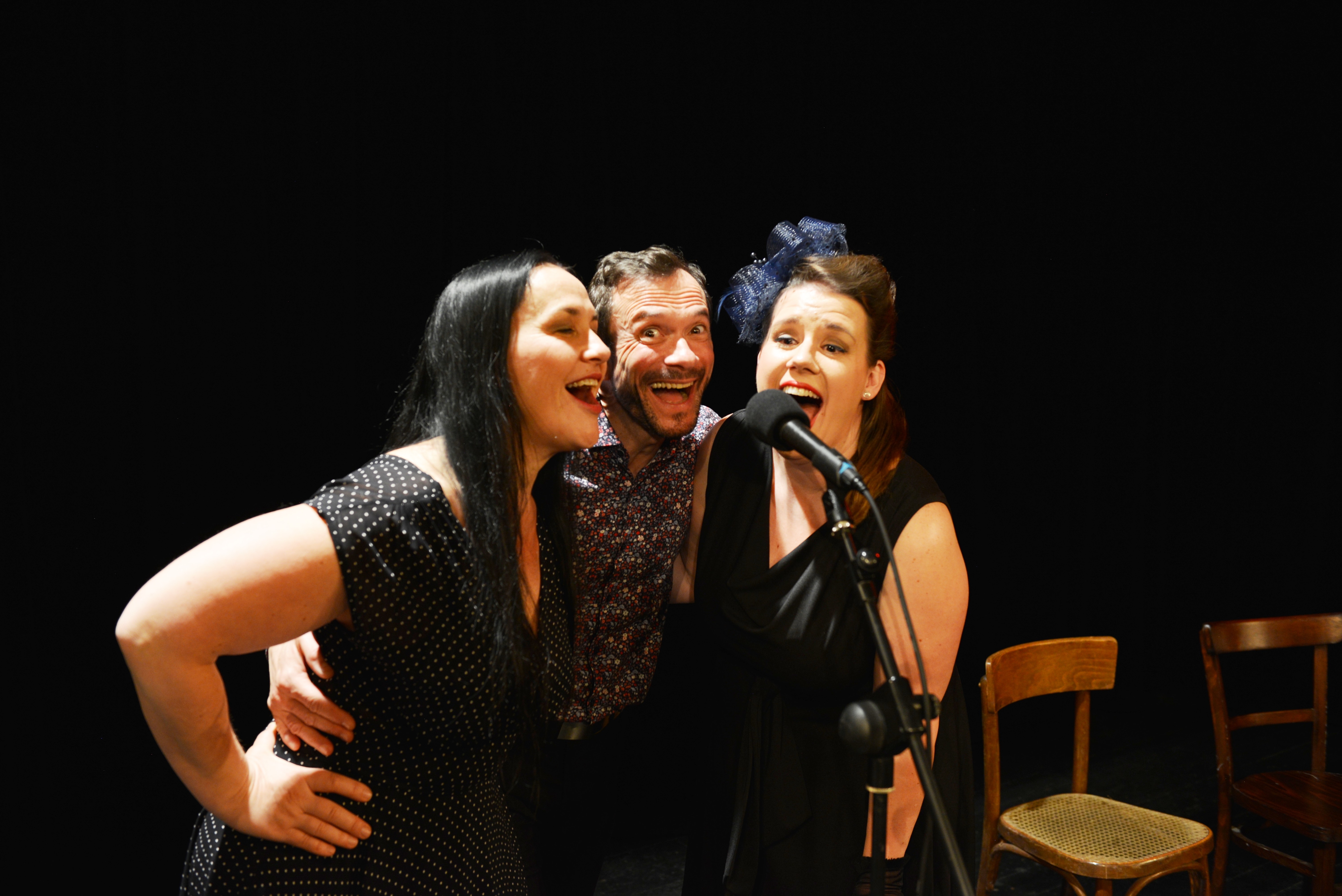 Šanson - věc veřejná  - HOST FRANTIŠEK NOVOTNÝ