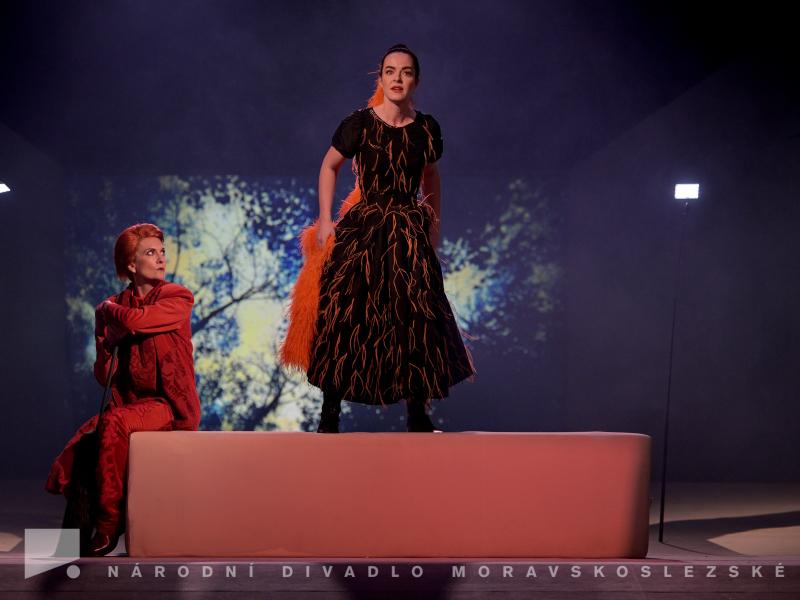 Příhody lišky Bystroušky