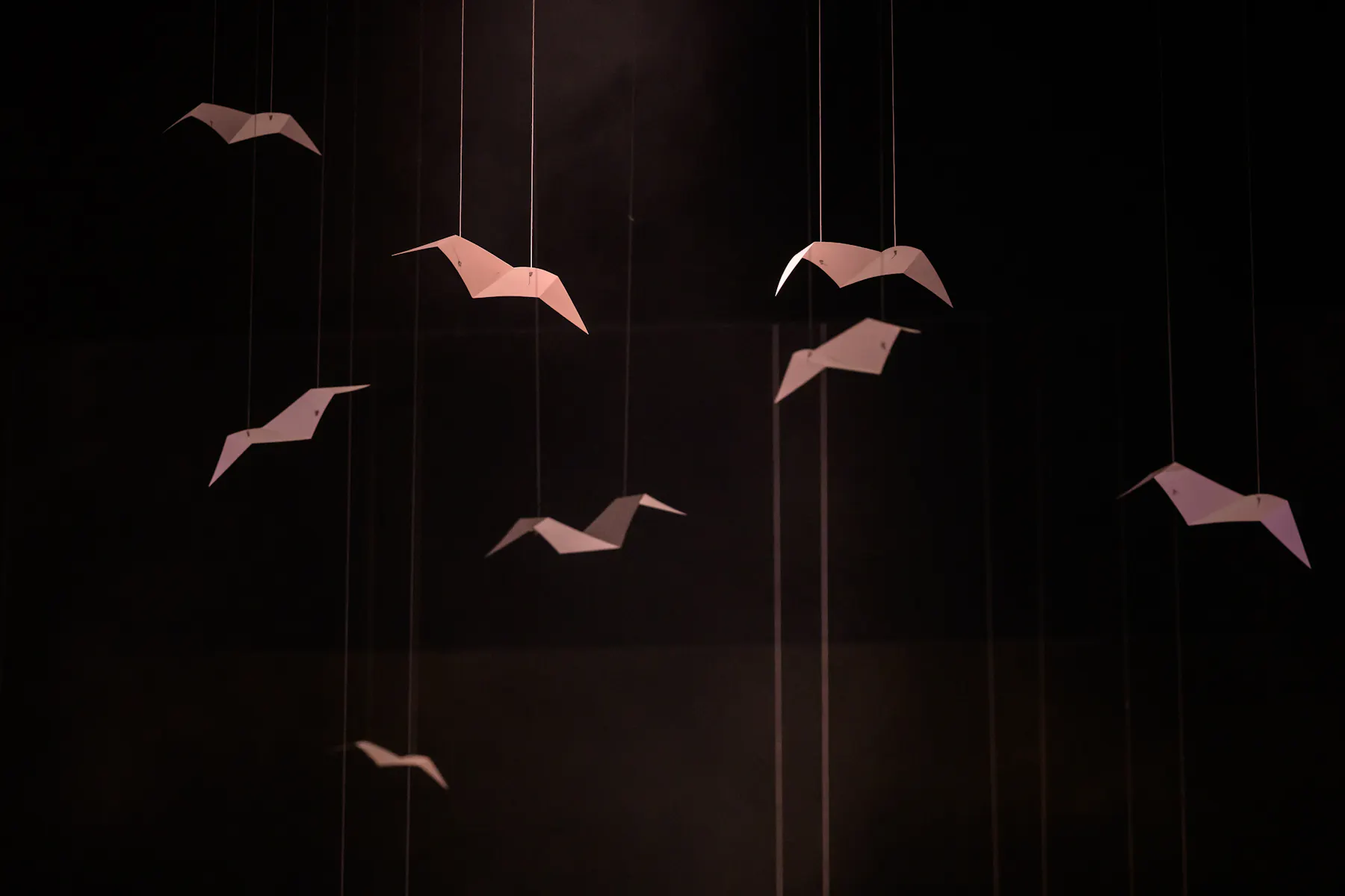 Avant-Garde: Cutting Edge