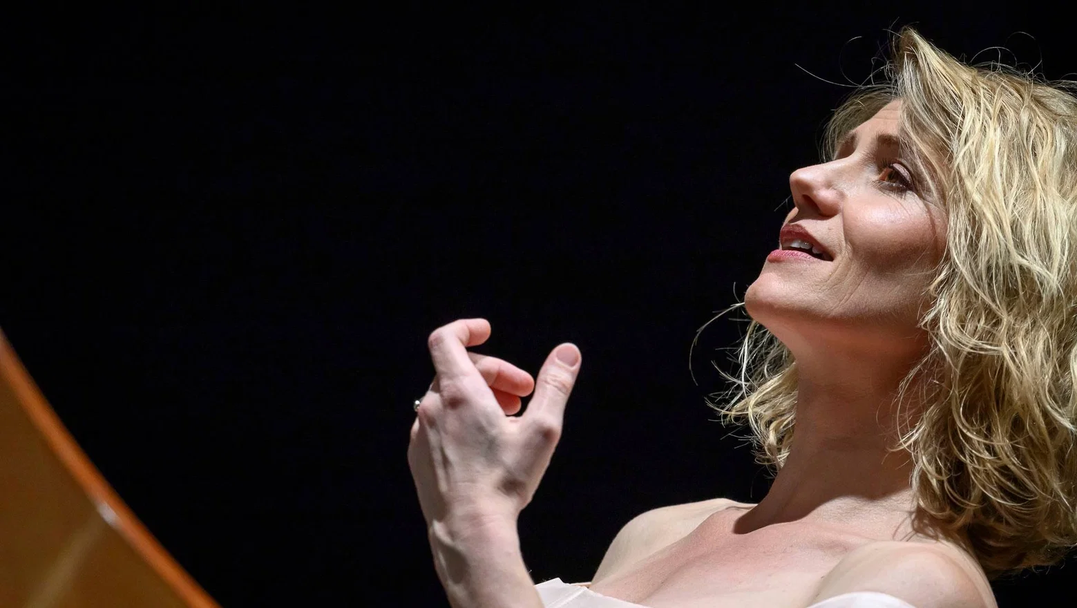 Český spolek pro komorní hudbu • Dagmar Šašková