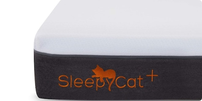 SleepyCat Plus Mattress