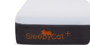 SleepyCat Plus
