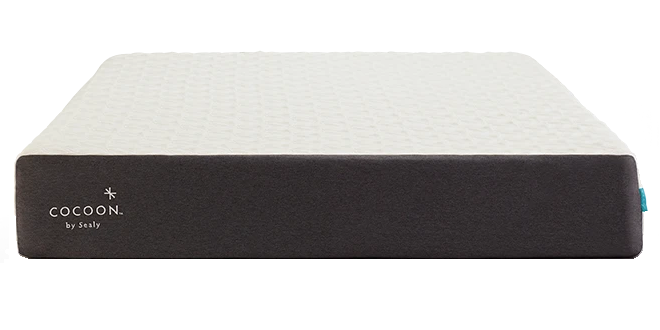 Sealy Cocoon Chill Mattress