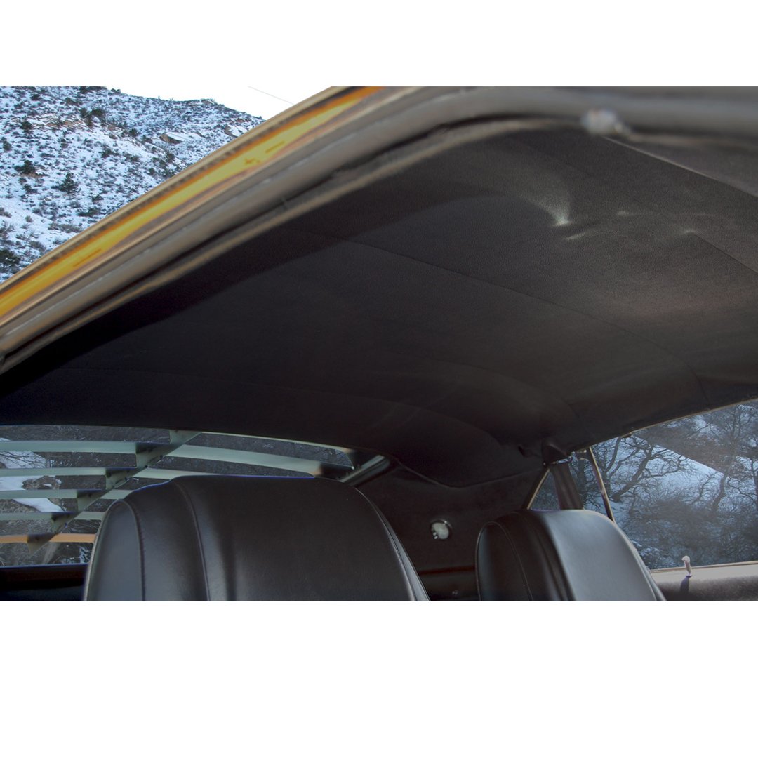 1969 Ford Mustang Headliners