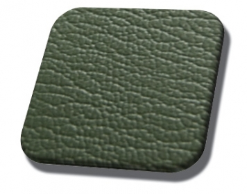 #4060-Medium Ivy