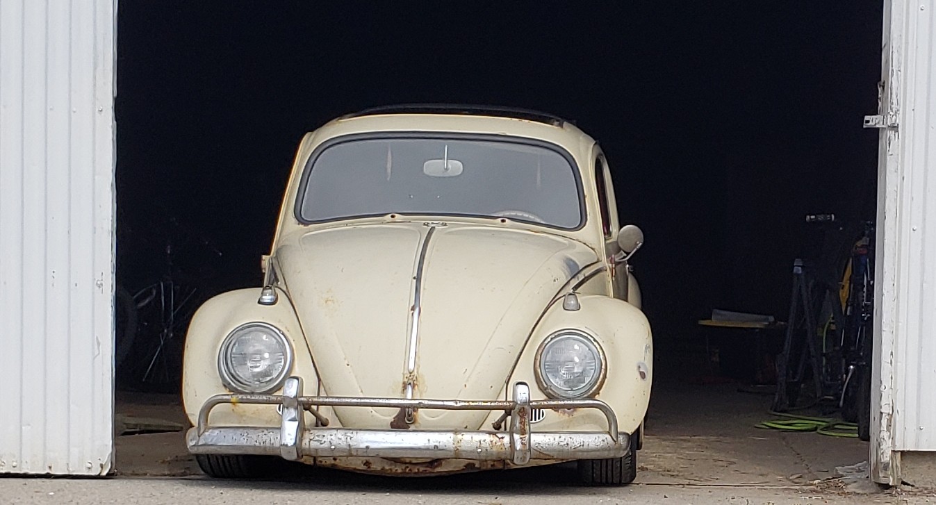 1959 VW Bug