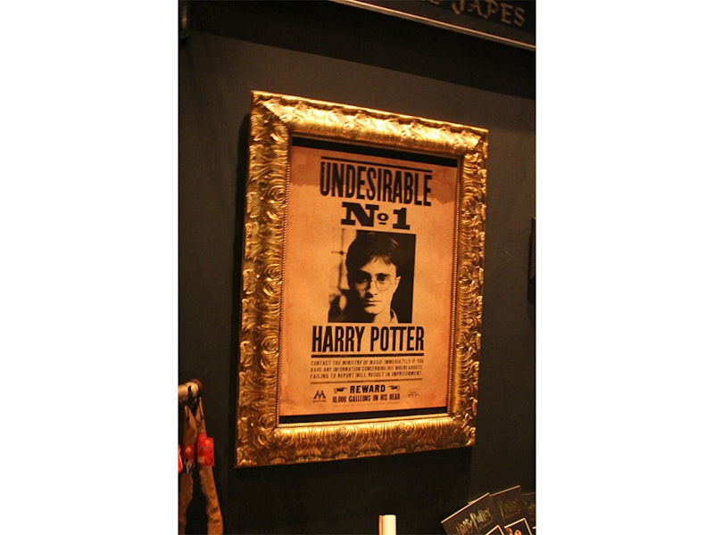 Harry Potter
