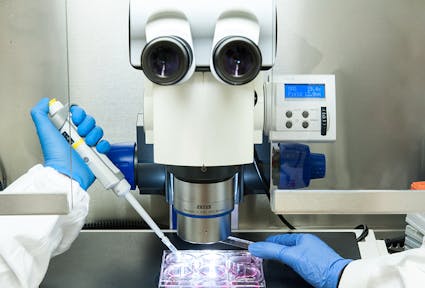 Covid-19 zeigt: An Grundlagenforschung zu sparen, können wir uns nicht leisten