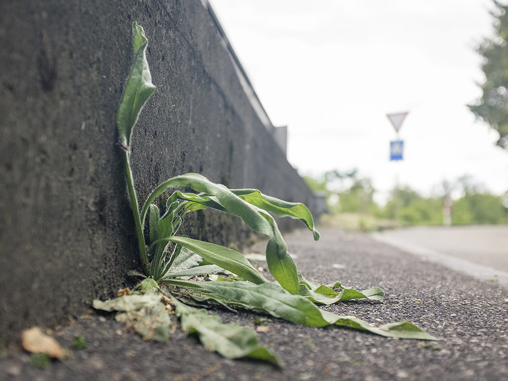 Wir müssen endlich resilienter werden! Ein Plädoyer, in der momentanen Zeit des Stillstands umzudenken