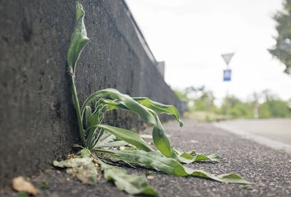 Wir müssen endlich resilienter werden! Ein Plädoyer, in der momentanen Zeit des Stillstands umzudenken