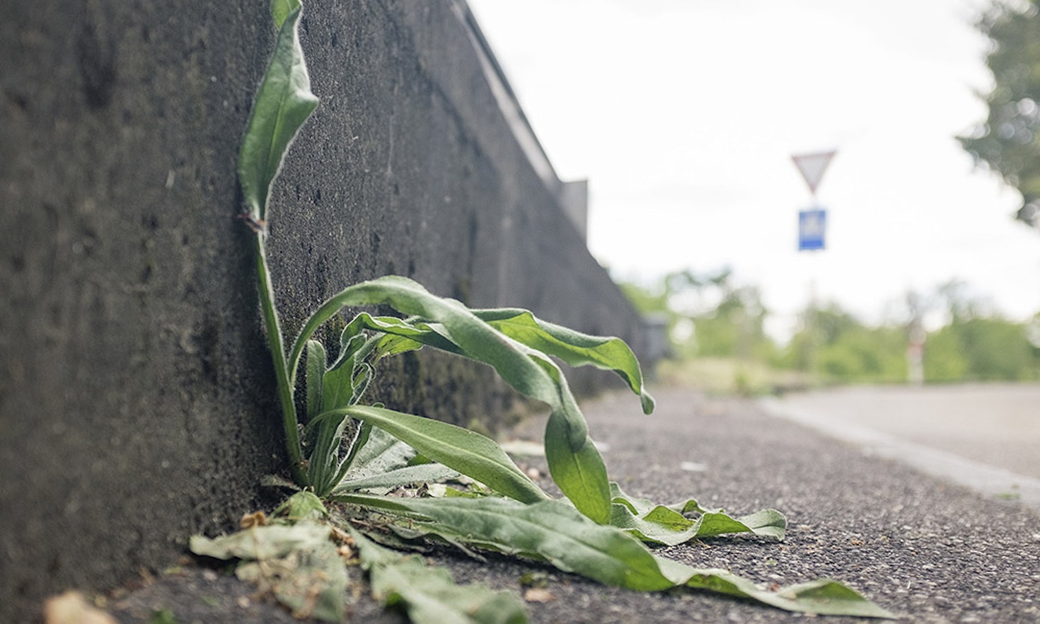 Wir müssen endlich resilienter werden! Ein Plädoyer, in der momentanen Zeit des Stillstands umzudenken