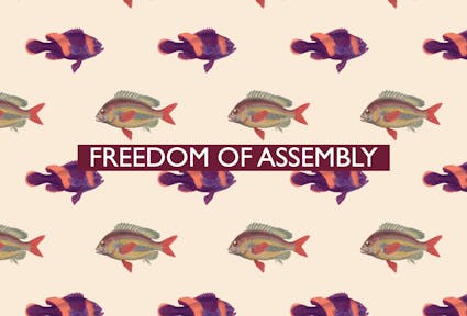 The 12th of all EU-r rights: freedom of assembly and how the Charter contributes