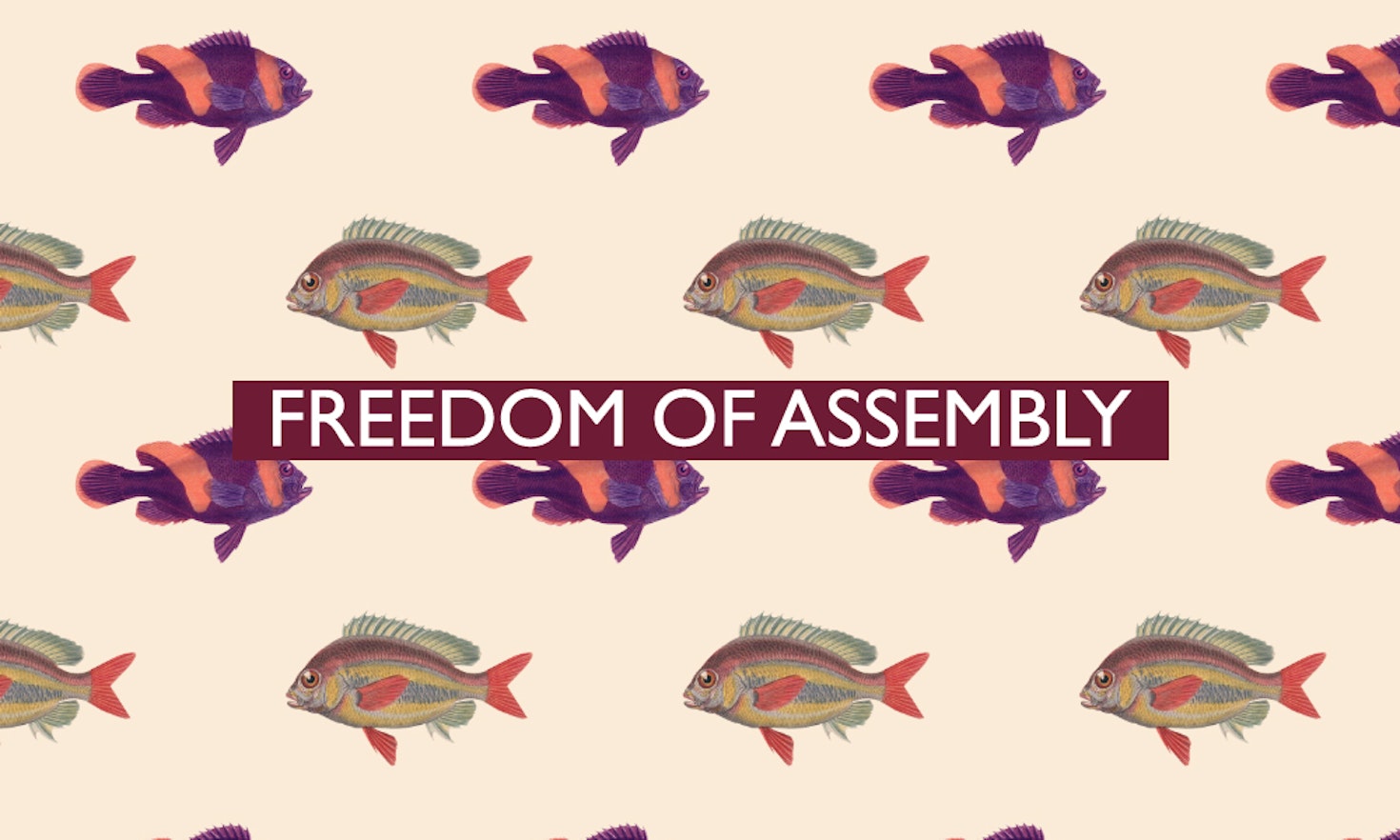 The 12th of all EU-r rights: freedom of assembly and how the Charter contributes