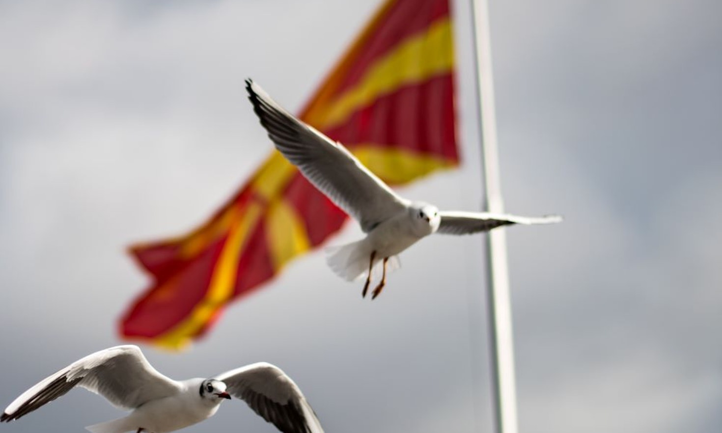 North Macedonia’s bumpy road to the EU
