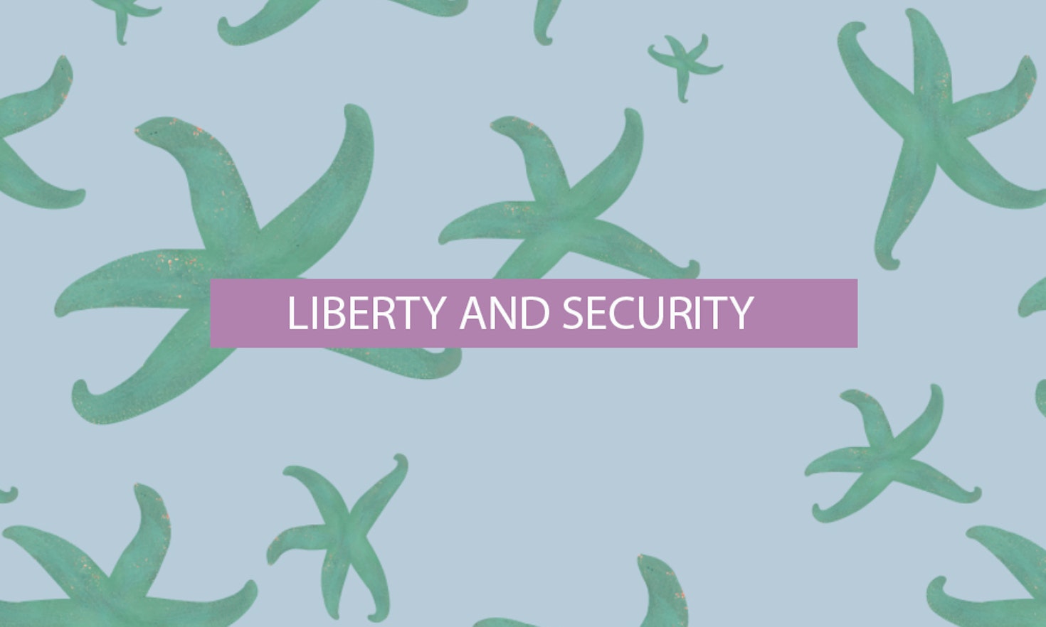 The 6th of all EU-r rights: Liberty, security and how the Charter contributes