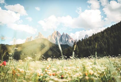 The Environmental Implementation Review and Italy: when governance matters as much as substance